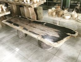 Tisch Fossil Esstisch Versteinertes Holz petrified wood