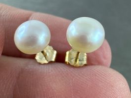 Ohrstecker 375 Gold