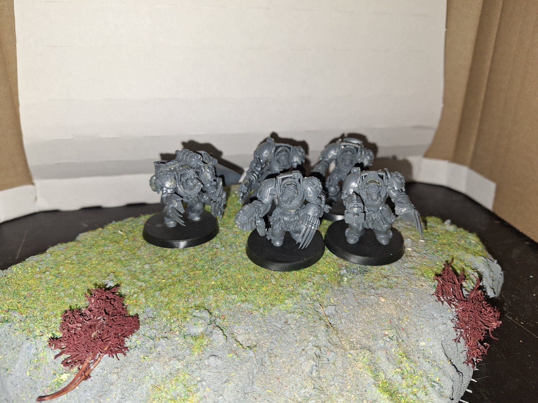Statuette: Warhammer 40k - Space Wolves - 5x Terminators! – Usato da Recherswil venduto da Toby.sk55