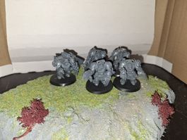 Warhammer 40k - Space Wolves - 5x Terminators!