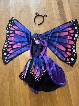 Kostüm Schmetterling Grösse 104 neuwertig