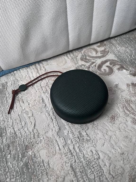 Bang & Olufsen Lautsprecher: Beosound A1  Green – Gebraucht aus Spreitenbach von env_tk78
