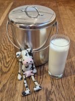 Noser Milchkessel Chromstahl 3 Liter