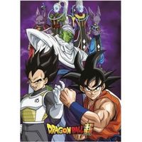 Couverture polaire Dragon Ball 100 x 140 cm