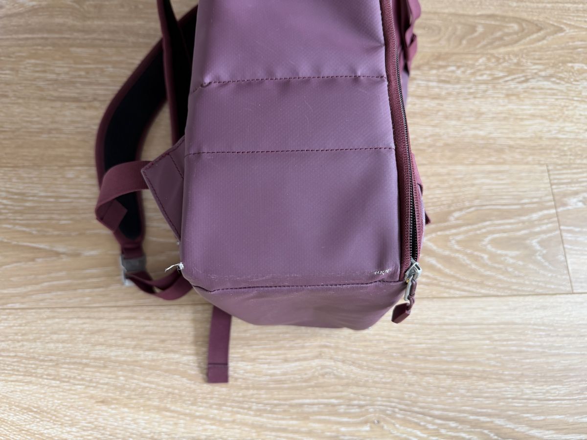 Zaini: Db (Douchebags) The Ramverk 21L Backpack - Raspberry  – Usato da Basel venduto da ll.dee 5