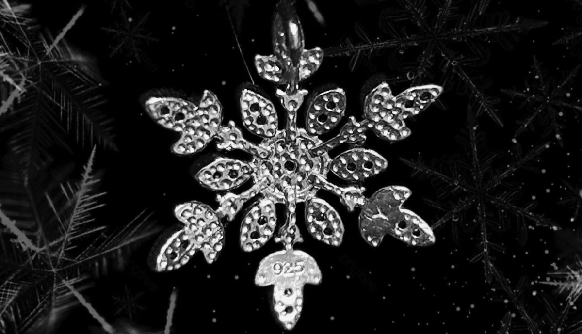 Anhänger: ❄️Pendentif en argent ❄️ – Gebraucht aus Pont (Veveyse) von pil_k9jp 2