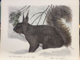 LITHOGRAPHIE ORIGINALE  DOMINIQUE COSANDEY "L'ÉCUREUIL"