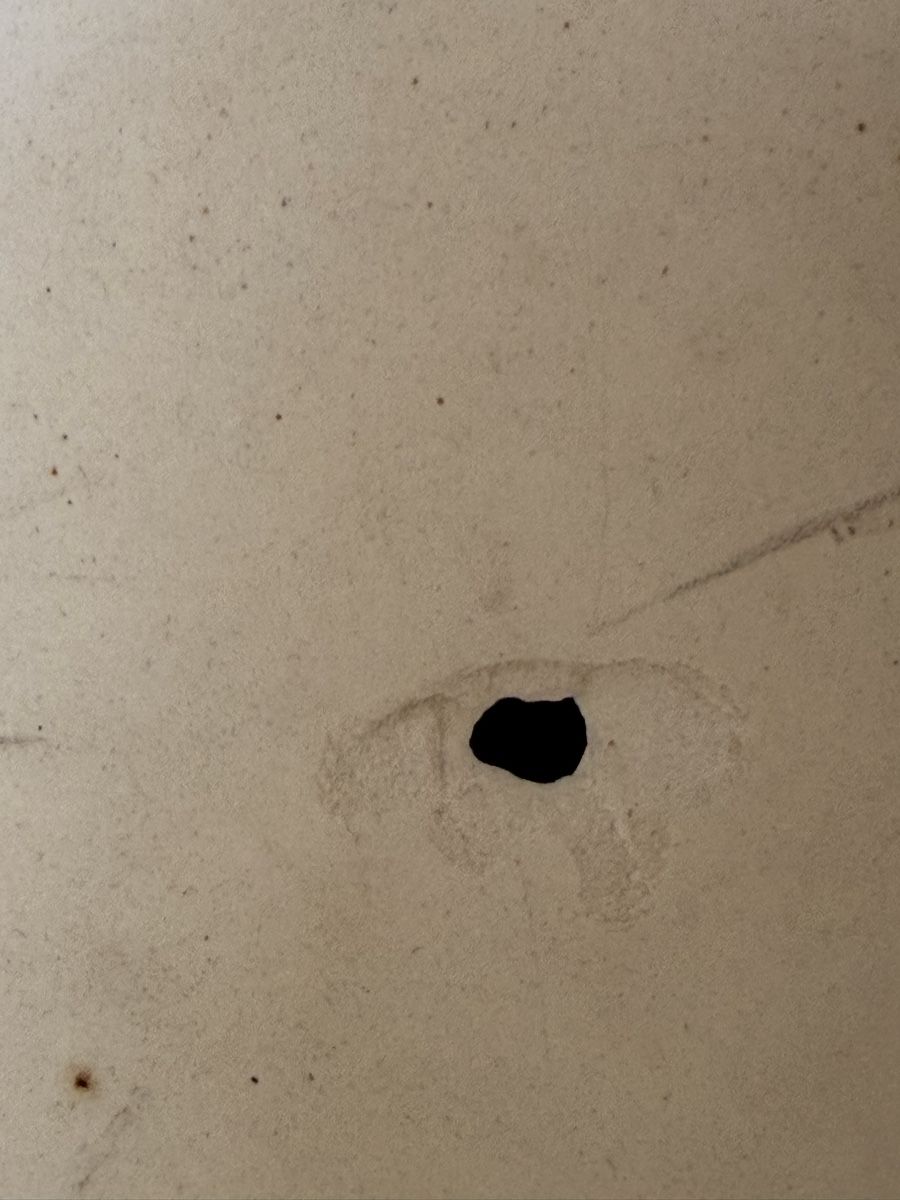 Rössler Schalen: Rössler Blumentöpfe Schalen 2 stk  – Gebraucht aus Deitingen von Himhip 7