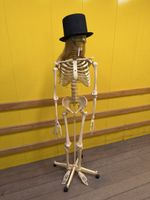 Skelett mit Zylinder, Deko für Halloween, top Zustand!