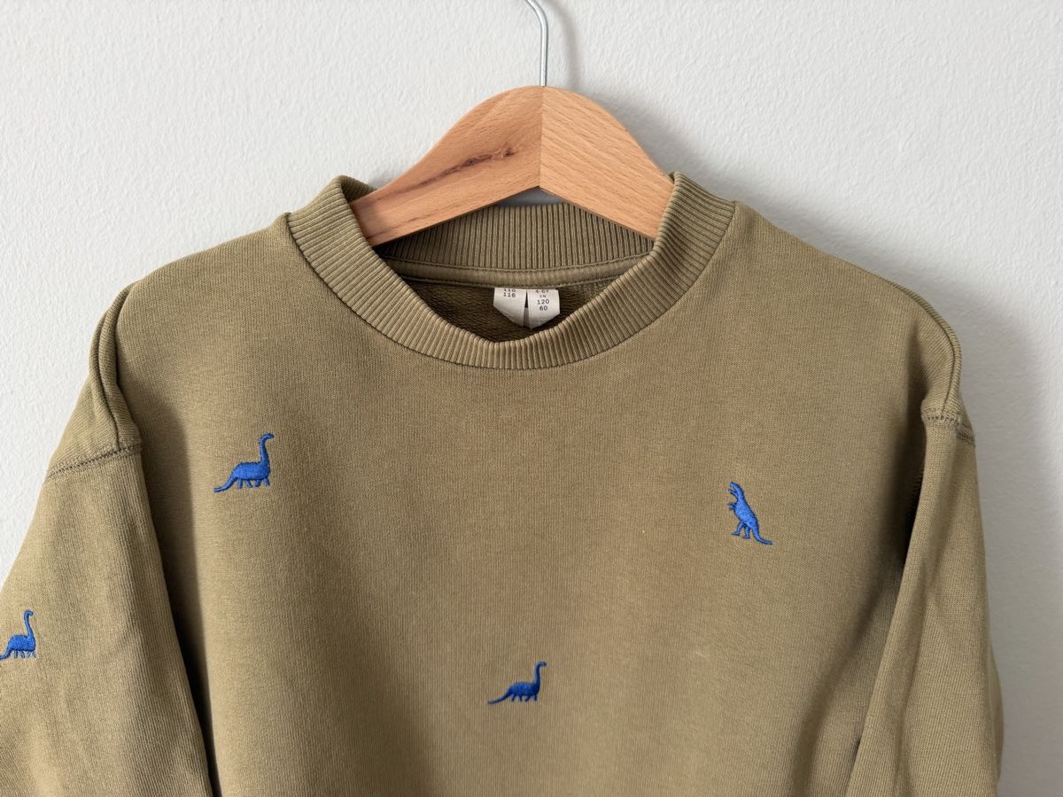 Pullover & Sweatshirts: Arket Pullover mit Dinos Gr. 110/116 🦕 – Gebraucht aus Zürich von rf_fr 1