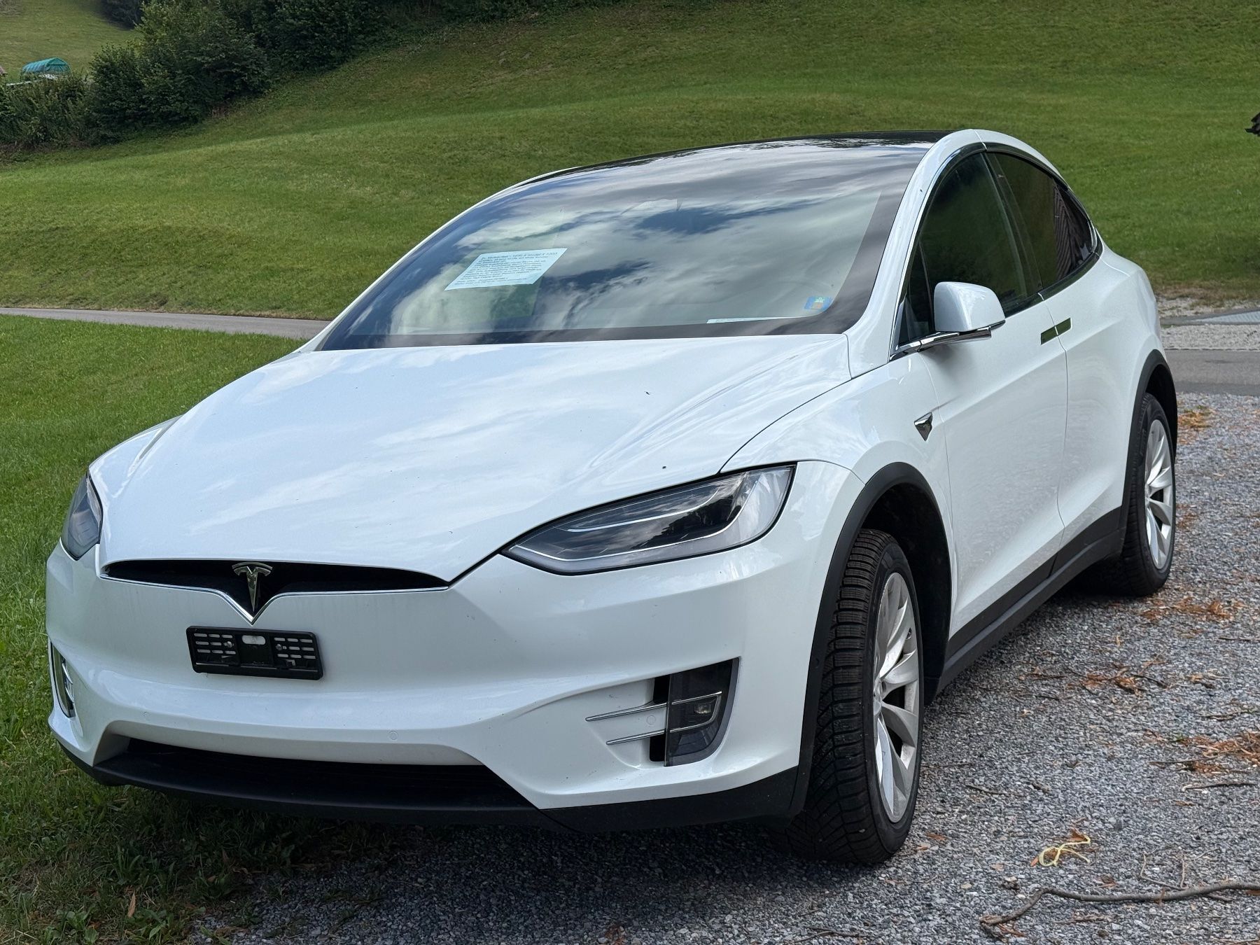 Tesla Automobili: TESLA Model X 100D – Usato da Ebnat-Kappel venduto da anitasteiner 3