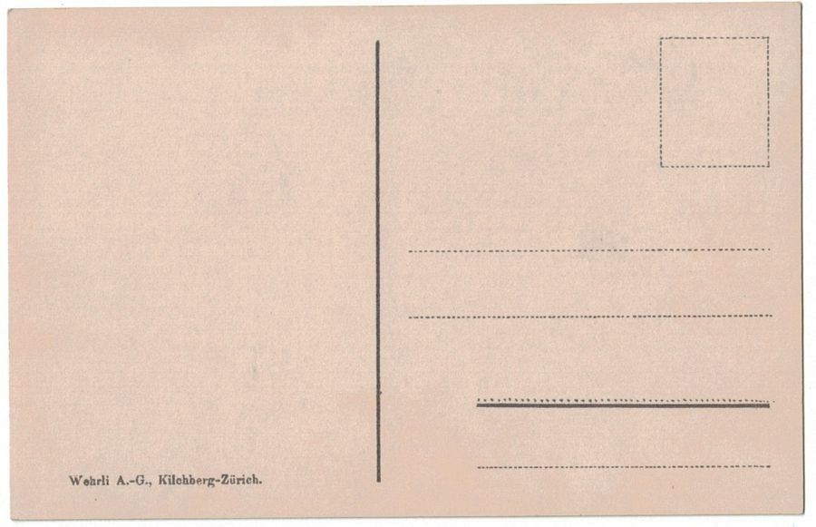 Cartoline postali: Vogelschau-AK Oberengadin – Usato da Frauenfeld venduto da POML 1