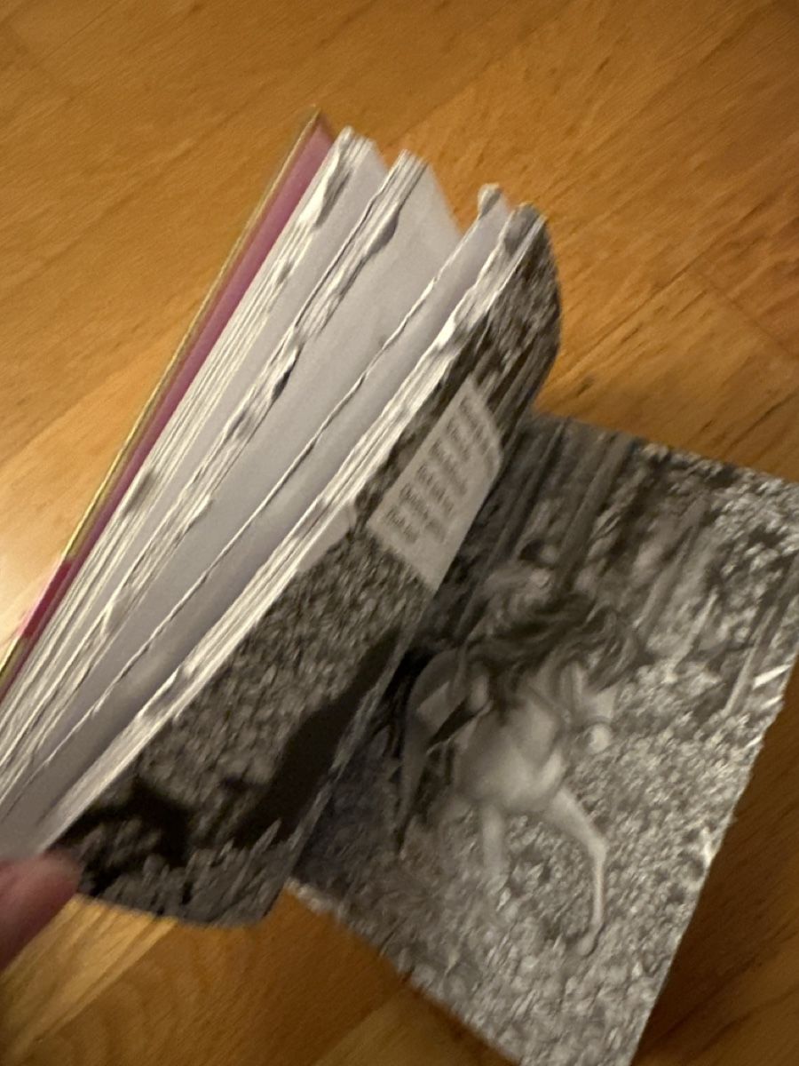 Libri: Bücherpaket Sternenschweif Pferde / Einhorn – Usato da Zürich venduto da Anba15 3