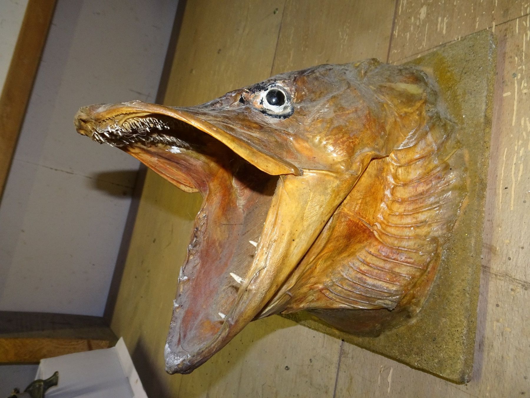 Statuette: Fischkopf – Usato da Bichwil venduto da Silbereule9 2