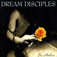 Dream Disciples – In Amber