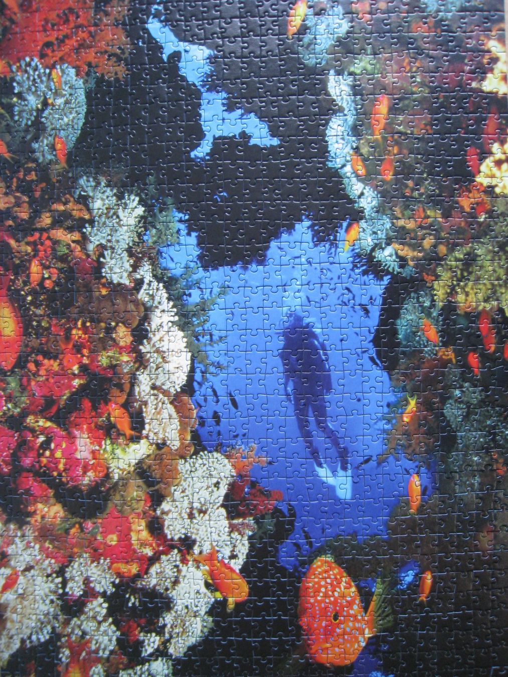Ravensburger Puzzle: 4 Puzzle – Usato da Sutz venduto da martinliliane 8