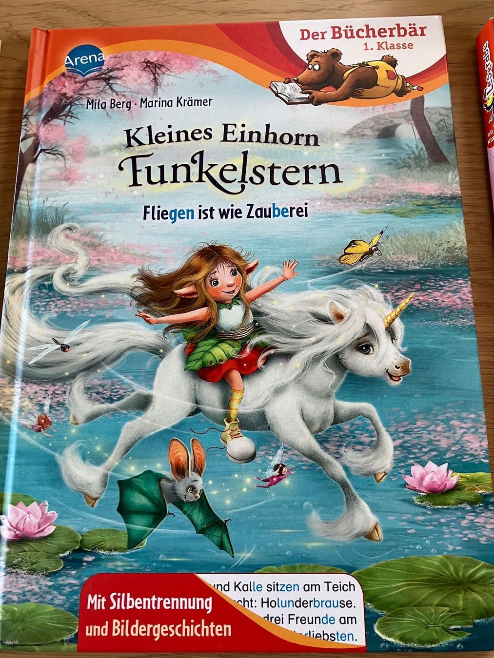 Libri: Bücherset 1. Klasse Bücherbär – Usato da Weissbad venduto da Praxedis_P51 3