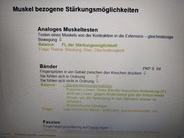 Kinesiologie