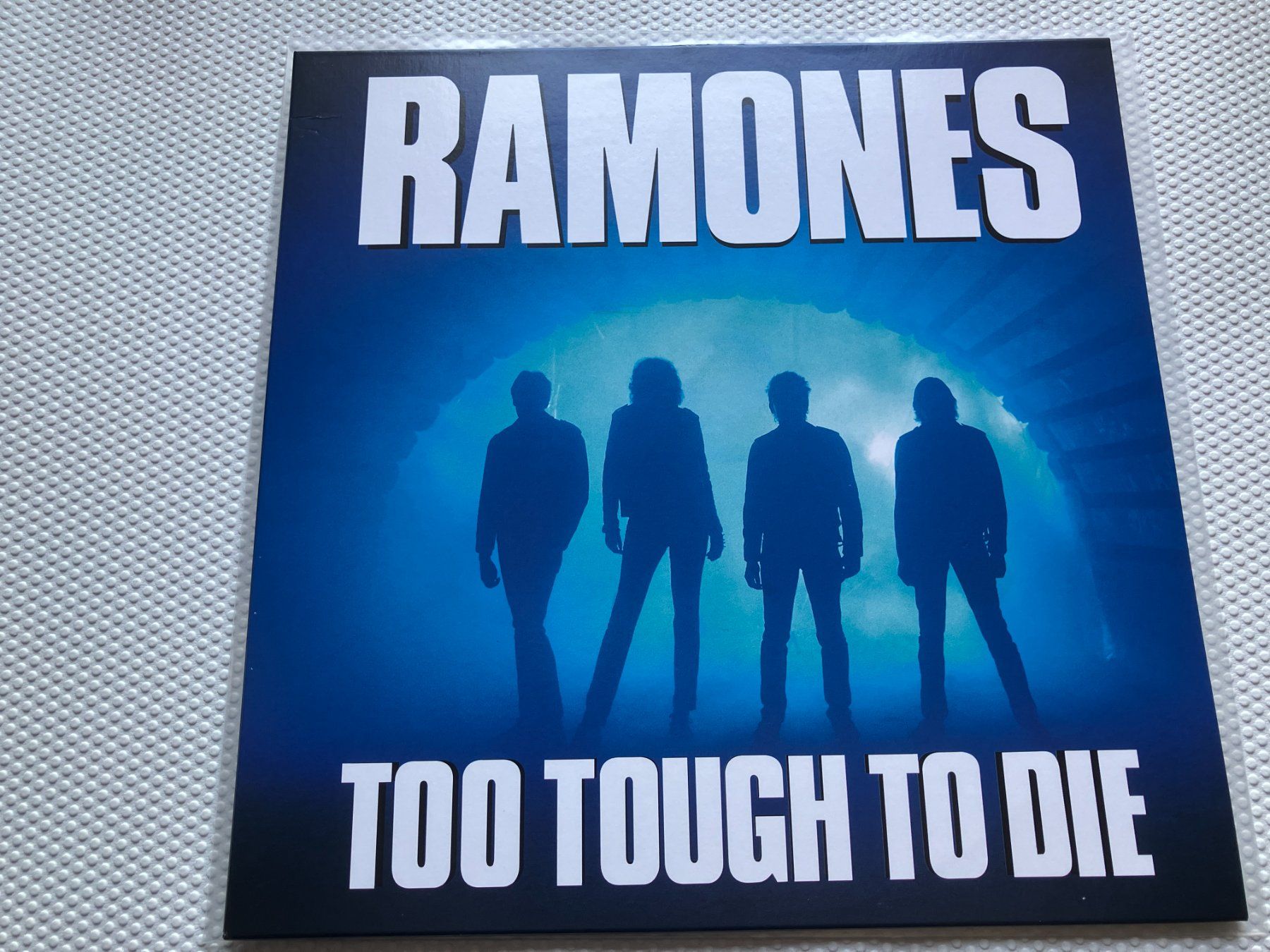 Vinyles: Ramones – D'occasion à Aarwangen par Jukebox3