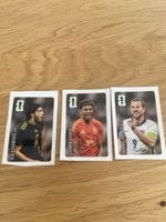 Coca-Cola paninisticker