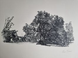 PAUL BODMER LITHOGRAPHIE SIGNIERT ( GEBROCHENER AST )