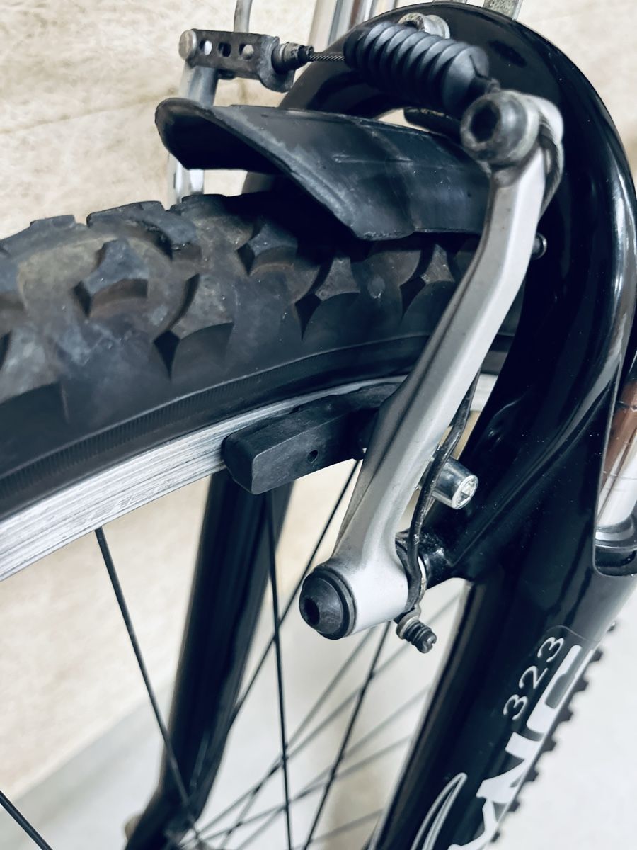 Canyon Biciclette: Canyon Mountainbike – Usato da Zürich venduto da Bidon3011 9