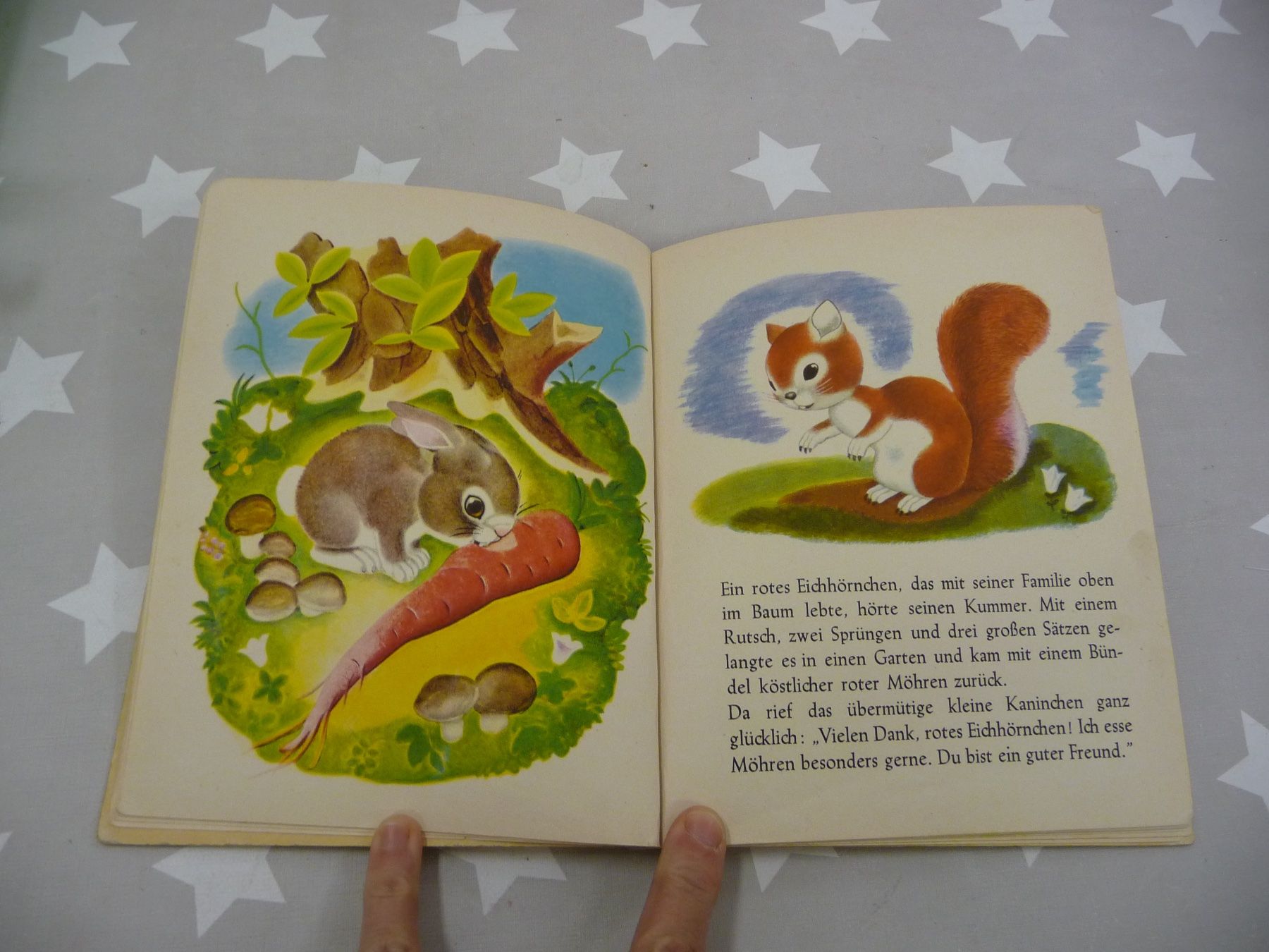 Libri: Buch: Das übermütige Kaninchen – Usato da Rafz venduto da Powacaddy 6