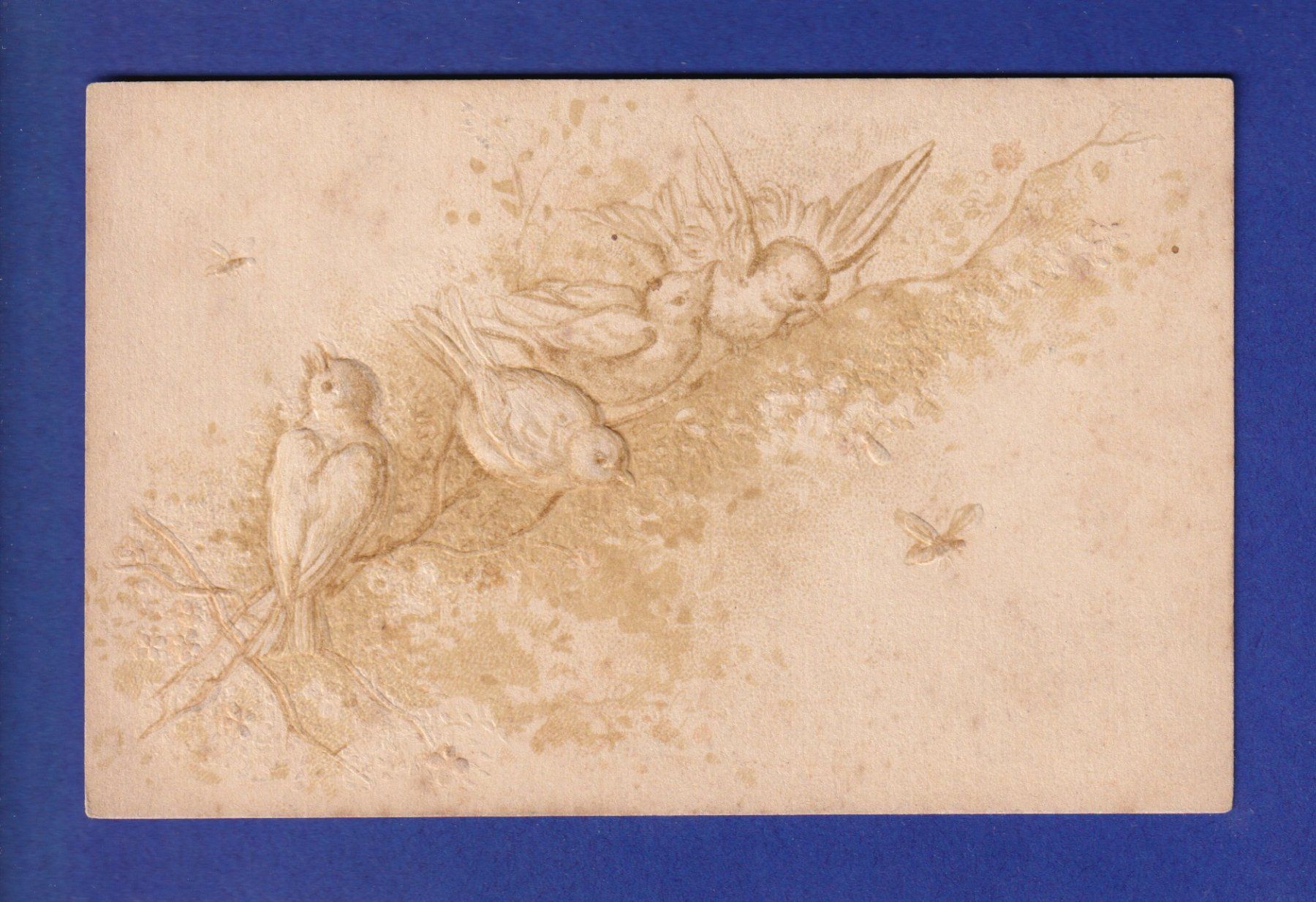 Cartoline postali: OISEAU - Oiseaux et insectes – Usato da Pully venduto da nicecards-shop
