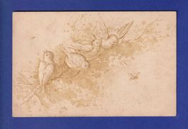 OISEAU - Oiseaux et insectes