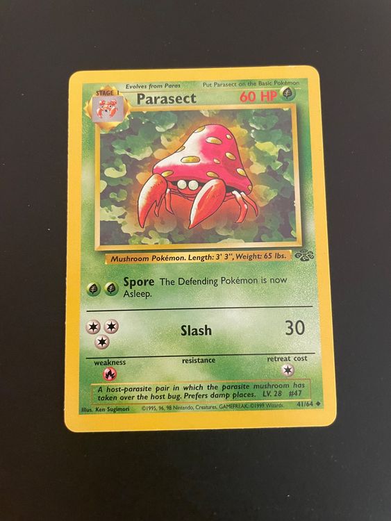 pokemon garchomp ex card Bleecker Trading