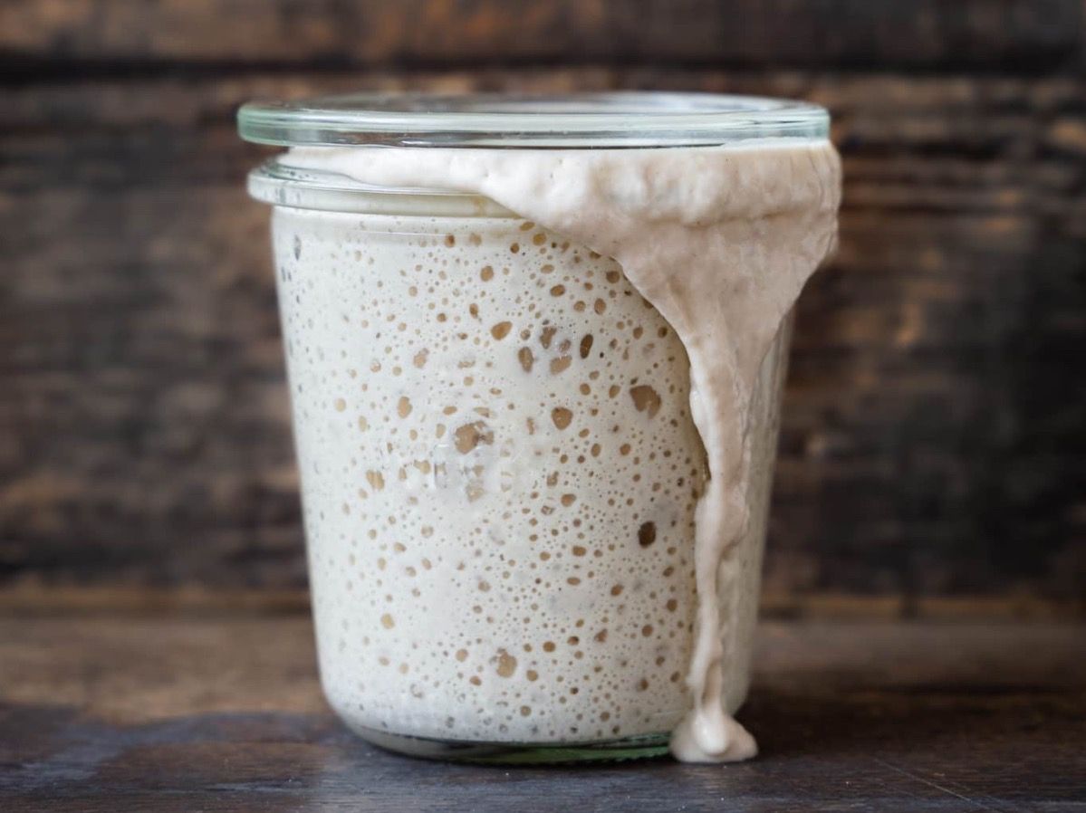Cibi & Specialità: BIO Weizen Sauerteig, 15+ Jahre, Schweizer Starterkultur – Nuovo (secondo la descrizione) da Zürich venduto da Backwerk 3
