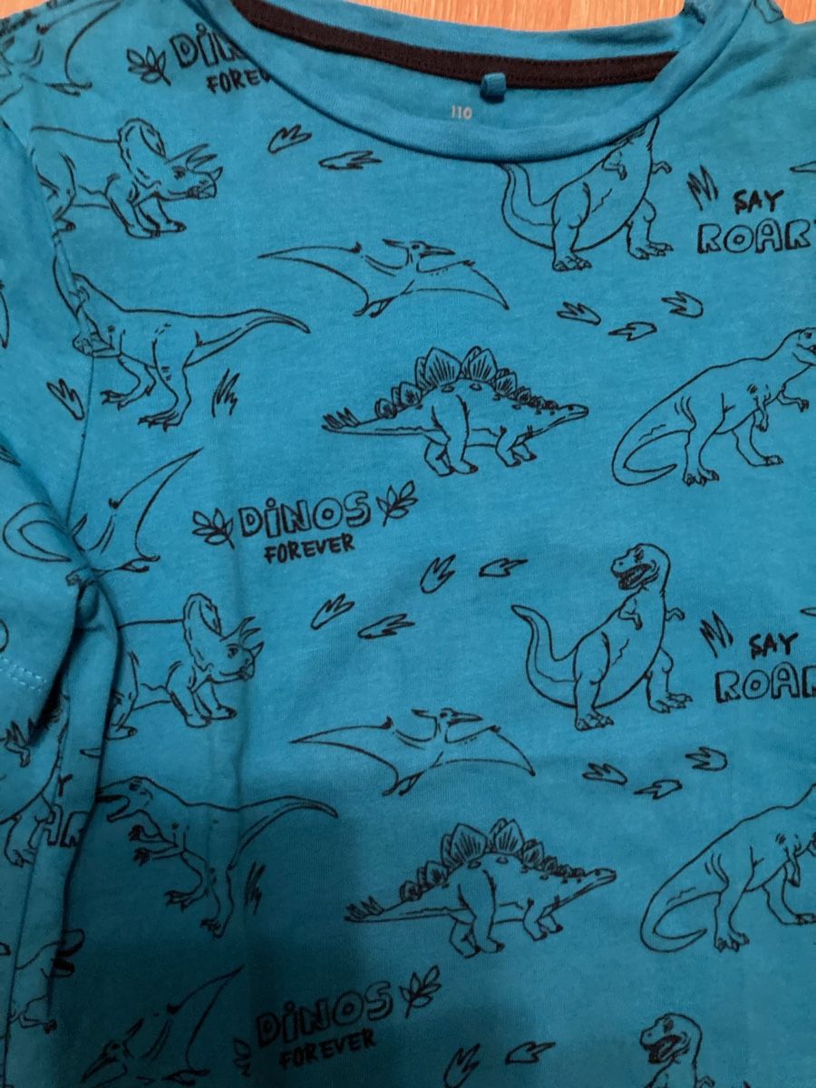 Camicie, T-shirt & Polo: Kinder Dino Shirt Gr. 110 – Usato da Emmenbrücke venduto da JJ_89 1