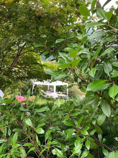 Tende & Padiglioni: Party- / Gartenzelt 3m x 3m – Usato da Zürich venduto da trouvailliste 2