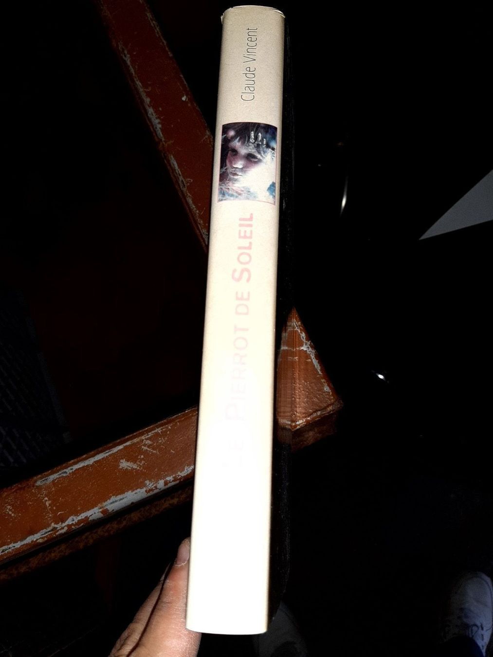 Libri: le pierrot de soleil claude vincent – Usato da Le locle venduto da juliensaran 1