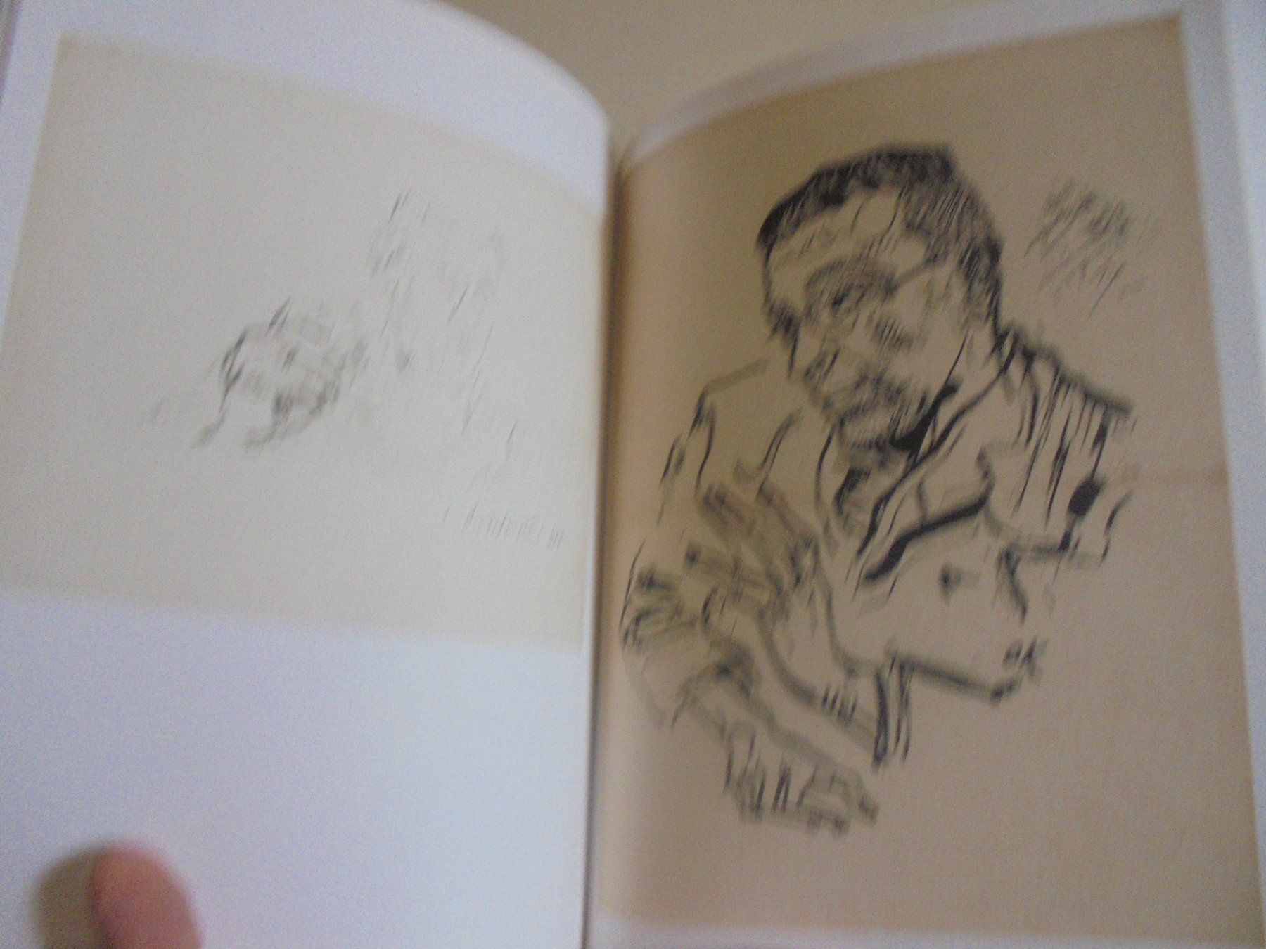 Libri: " Portrait, autoportrait " Musée Jenisch Vevey – Usato da Crissier venduto da Promopost 3