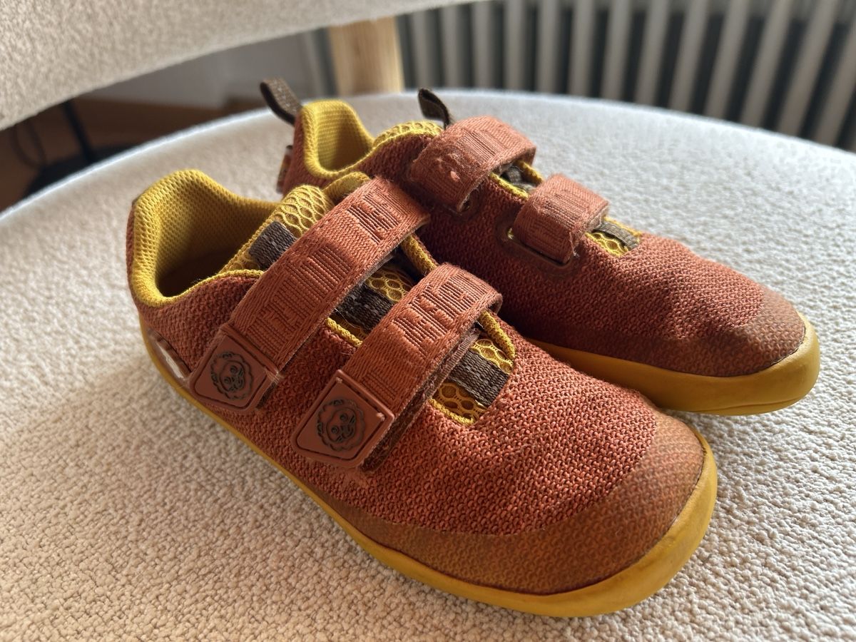 Affenzahn Schuhe für Jungen: Affenzahn Barfussshuhe 30 – Gebraucht aus Untersiggenthal von musicool
