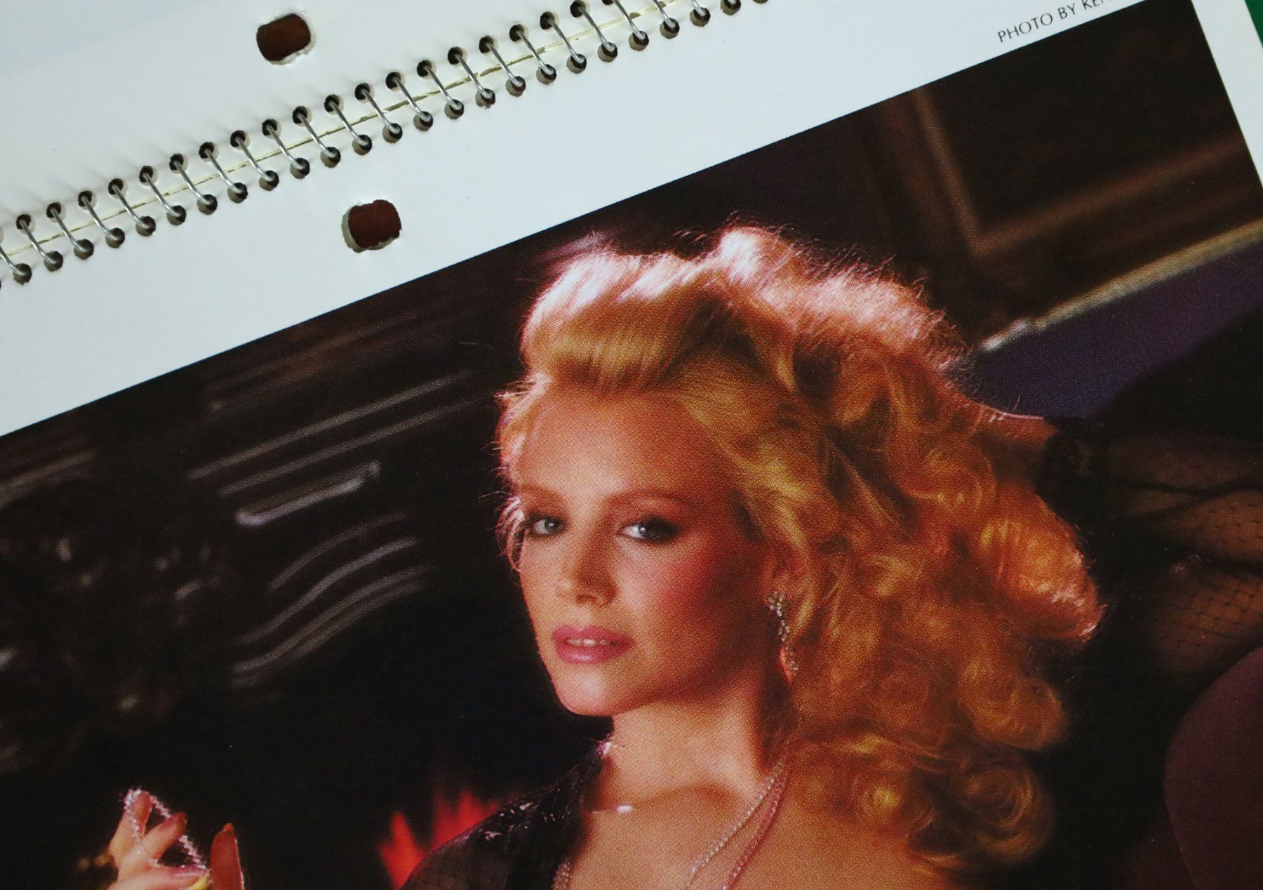 Playboy Calendari: PLAYBOY Kalender 1983 – Usato da Birrwil venduto da brandschatz_birrwil 5