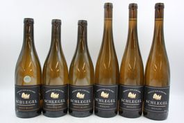 3x Pinot Blanc 3x Riesling NP: ca. 240 CHF (26083068Z)
