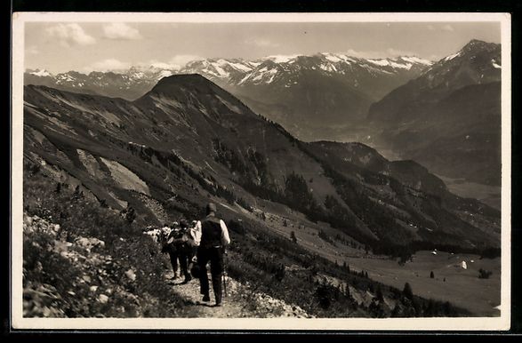 Cartoline postali: Rothorn-Brünig, Wanderer am Höhenweg – Usato da Berlin venduto da bartko-reher