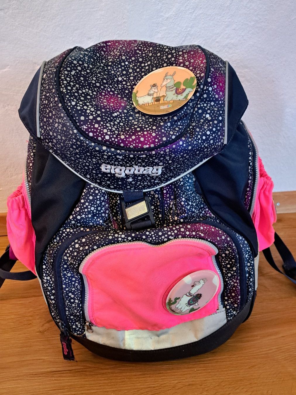 Ergobag Sacs & sacs à dos: Schulrucksack / Schulthek Ergobag mit viel Zubehör und Etuis – D'occasion à Romanshorn par H_meyer 1