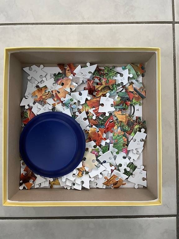 Puzzle: Puzzleball Dino – Usato da Grossaffoltern venduto da Fribi05 1