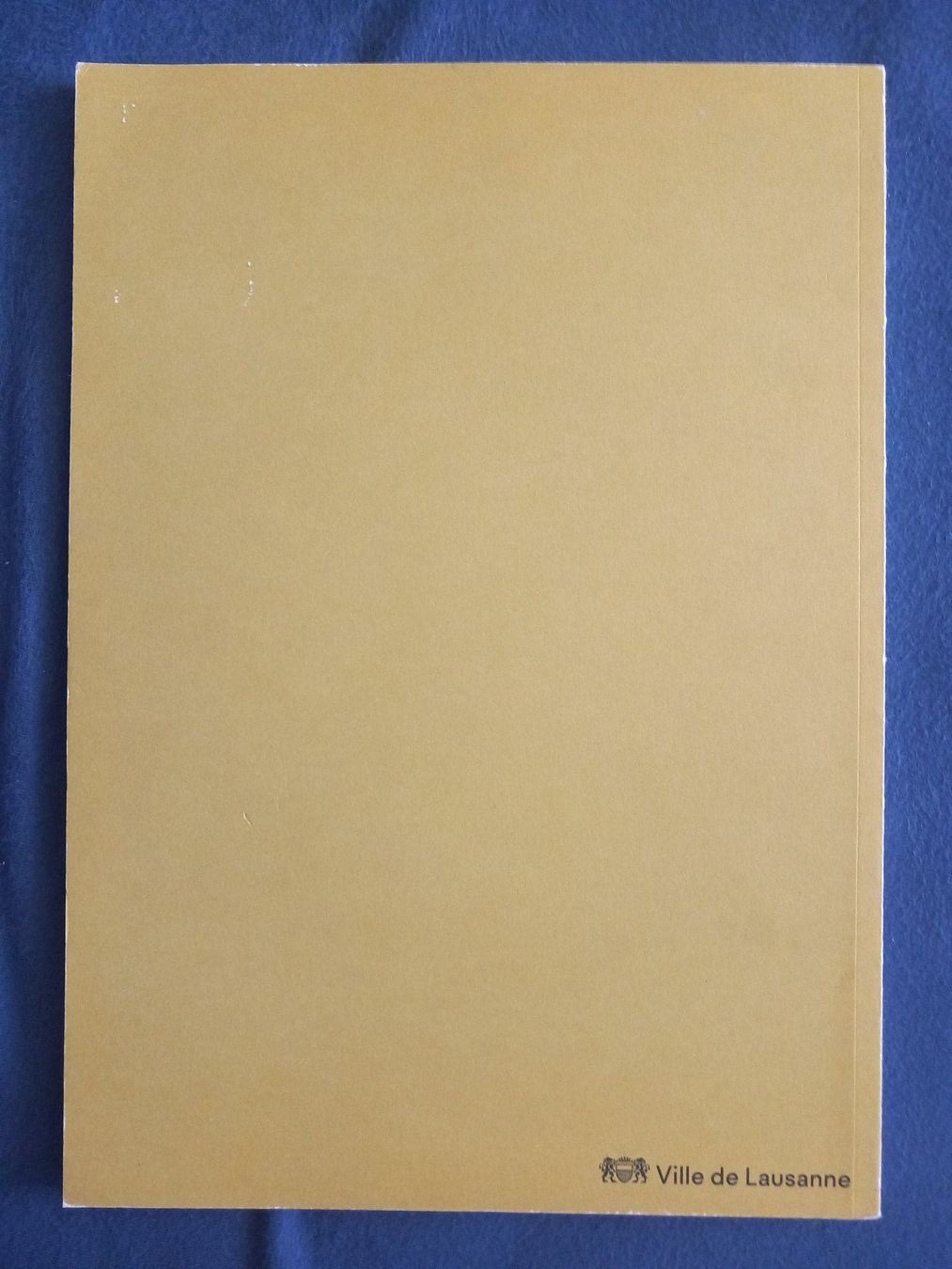 Libri: Livre Lausanne Imaginée,  BD, – Usato da Bernex venduto da casimali 1