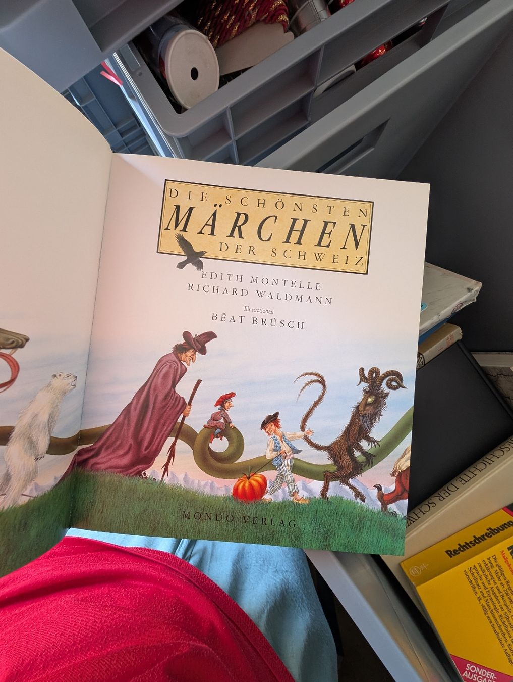 Libri: Die schönsten Märchen der Schweiz Buch  – Usato da Bern venduto da berneroberlaenderin 5