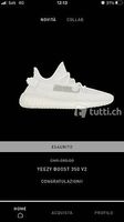 Yeezy Boost 350 V2 (BONE) - EU44