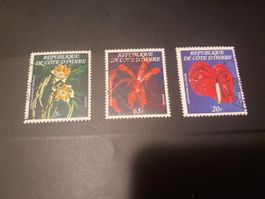 Côte d'Ivoire fleurs rare