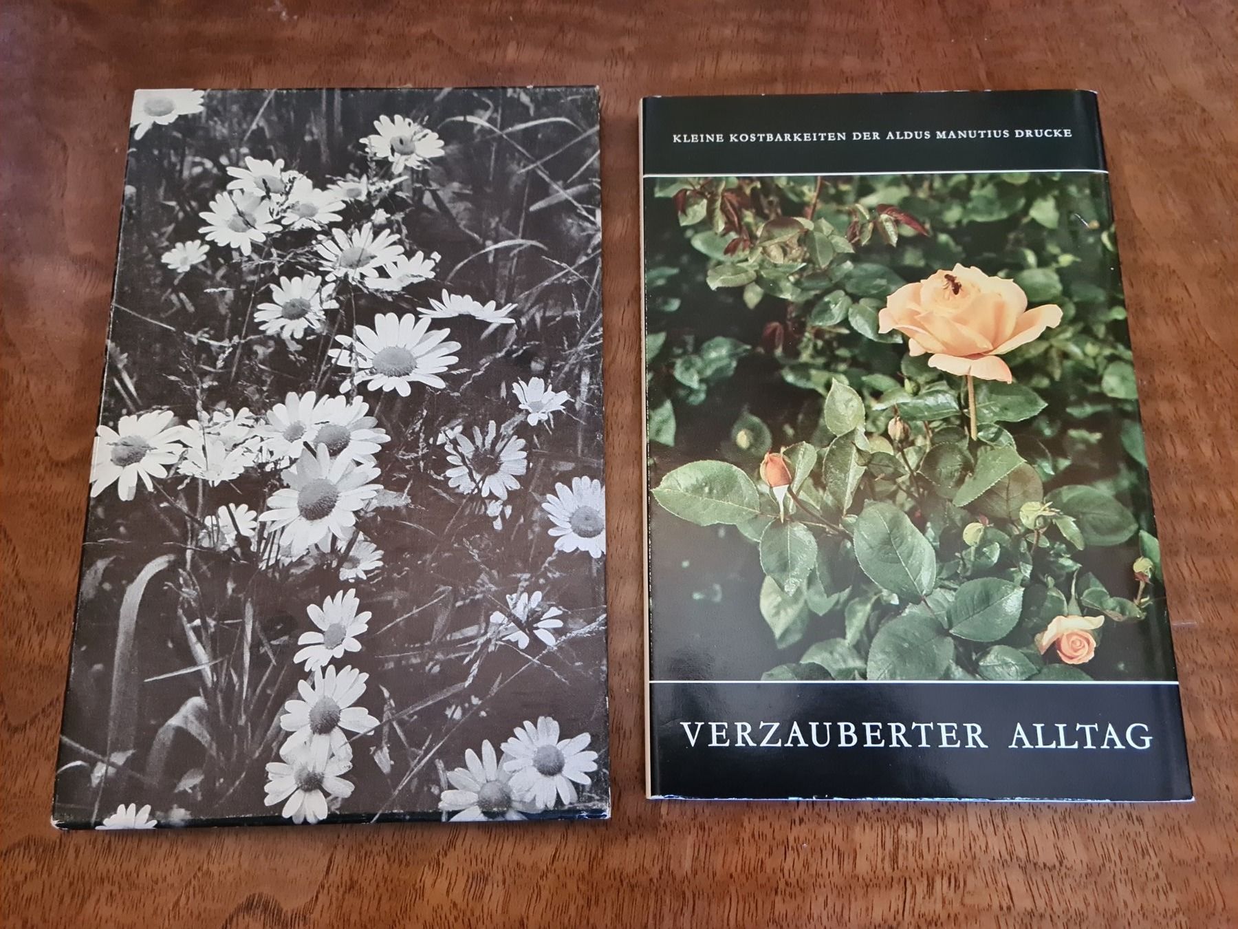 Libri: Verzauberter Alltag – Usato da Erstfeld venduto da Uhu1980