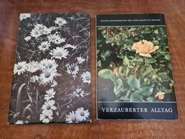 Verzauberter Alltag