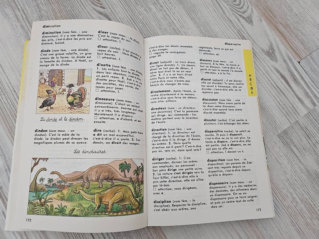 Bücher: Mini Larousse débutant - la bible – Gebraucht aus Fully von cvivi75 1