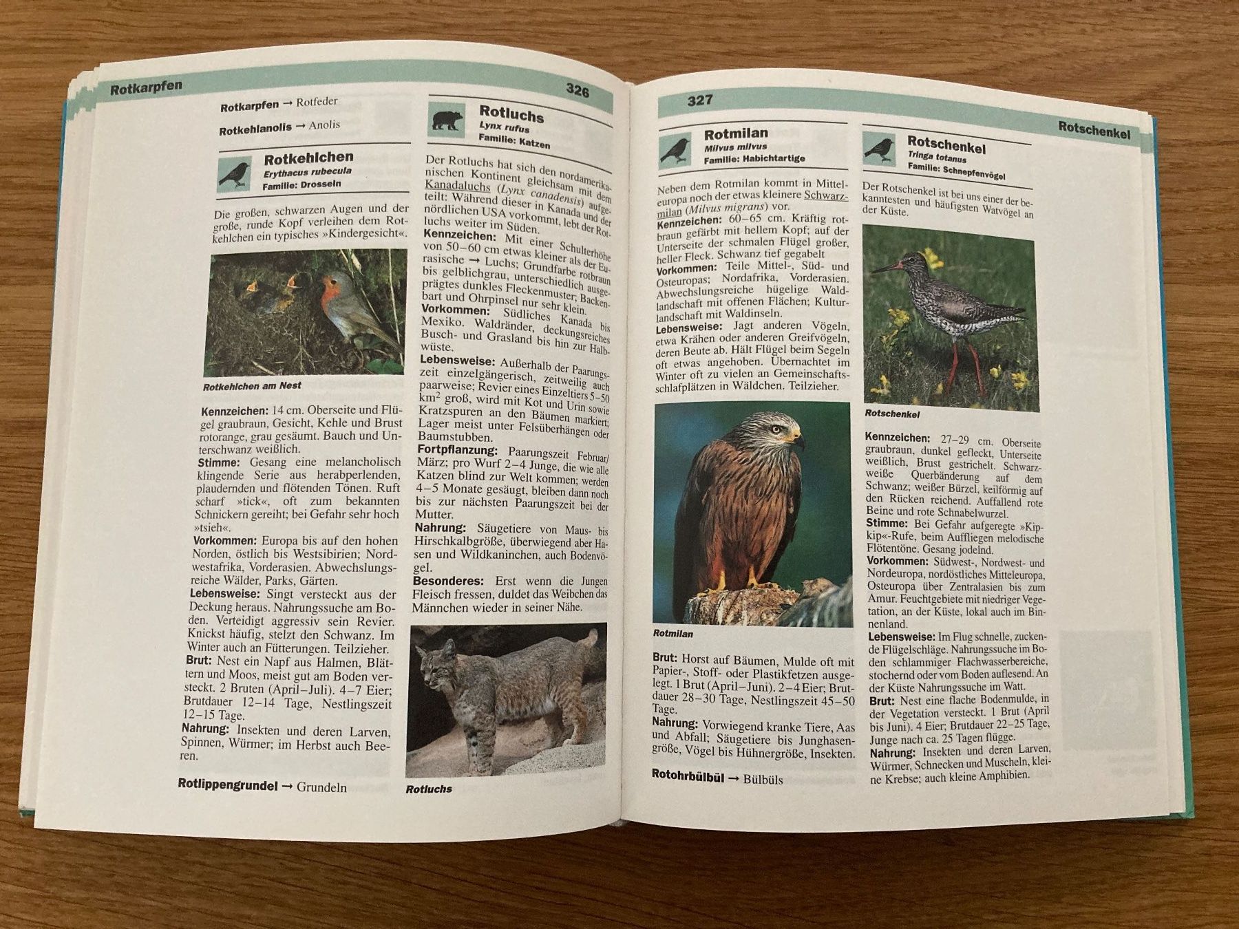 Libri: Grosses Tierlexikon - in Farbe mit über 1000 Abb. – Nuovo (secondo la descrizione) da Winterthur venduto da Quilterin 5