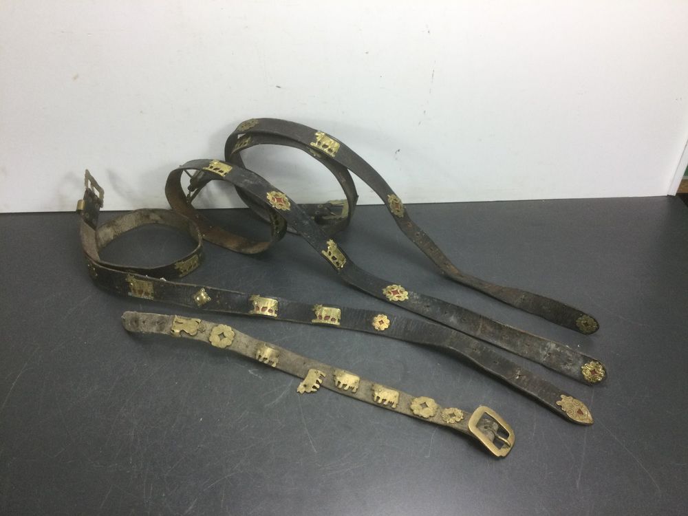 Posten alte Appenzeller Gürtel und Hunde Halsband | Kaufen auf Ricardo
